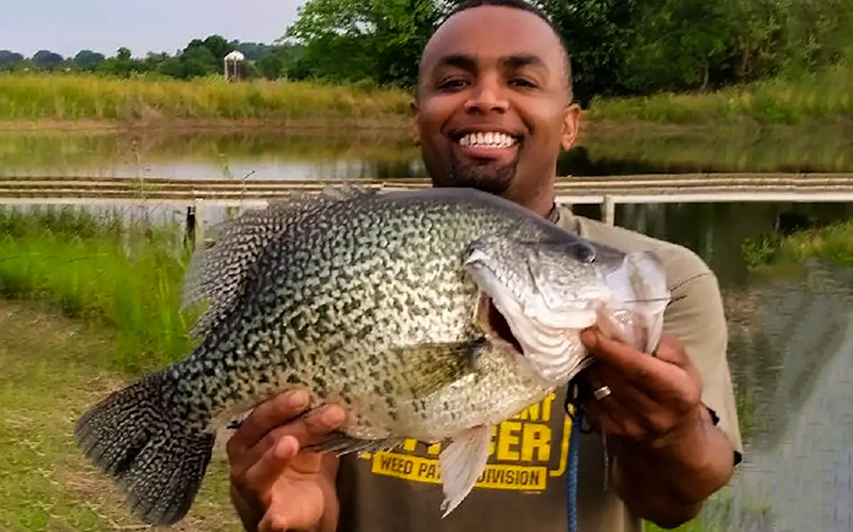 Trout Magnet Crappie Fishing Tips How To Catch Crappie Mystery Boxes