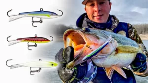 How to Fish the Rapala Jigging Rap for Bass