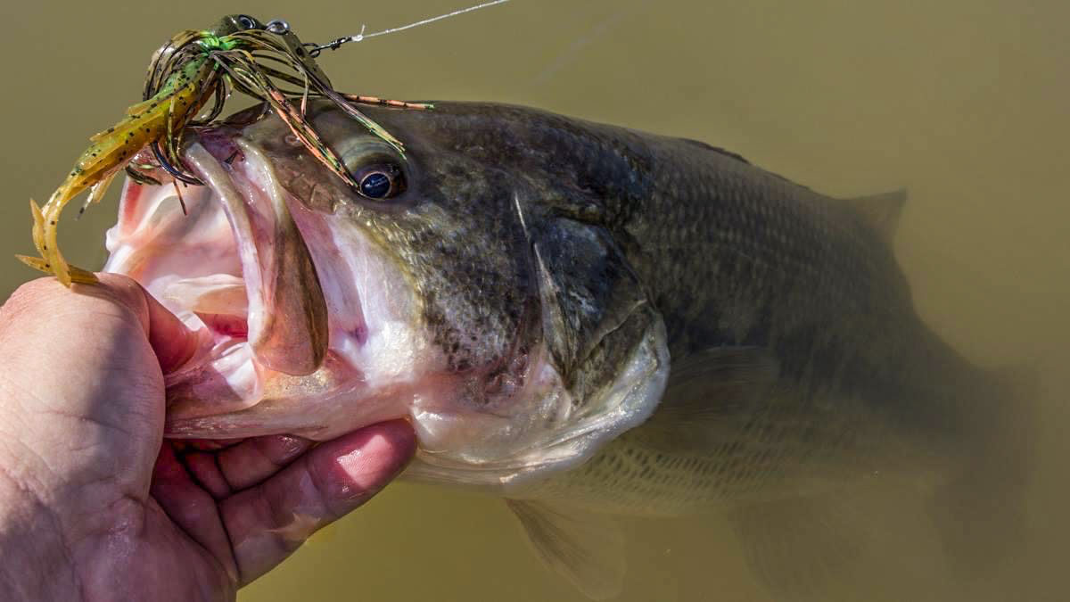 The must-have bass baits of the '90s - Major League Fishing