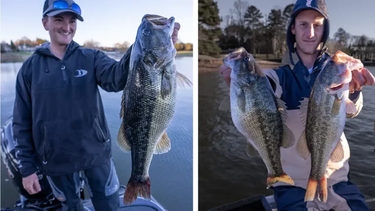 Spotted Bass vs Largemouth | Know the Differences