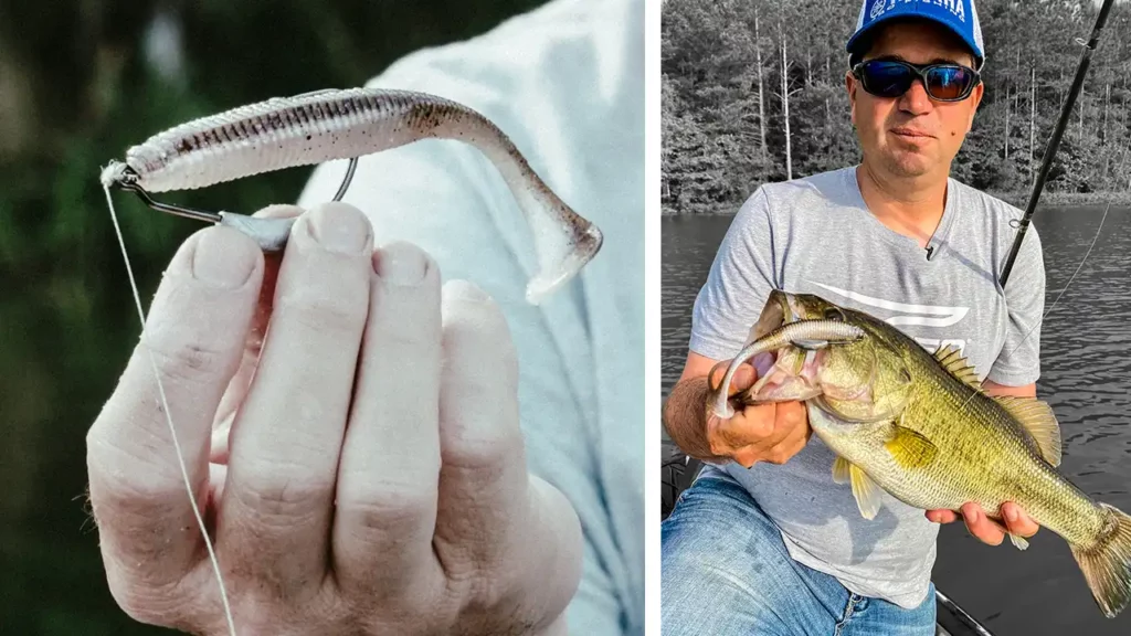 Belly-Weighted Swimbaits  How to Rig and Fish - Wired2Fish