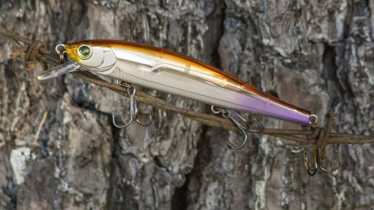 5 Must-Have Baits for the Early Prespawn