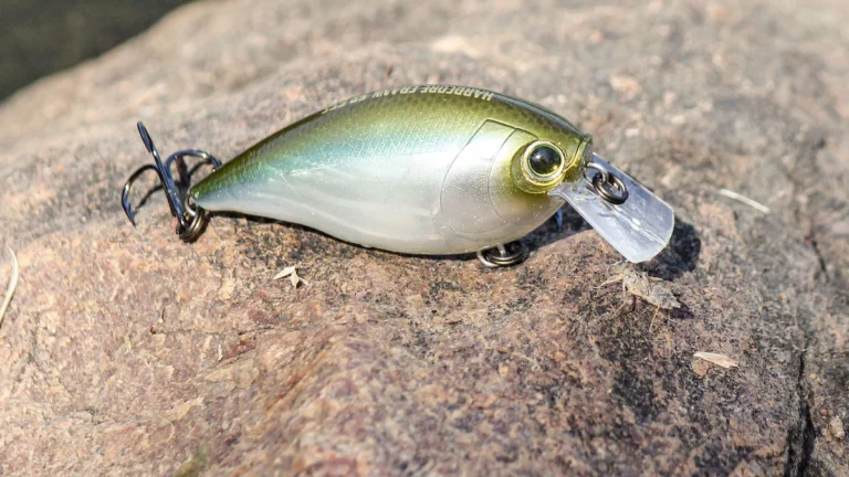 5 Must-Have Baits for the Early Prespawn