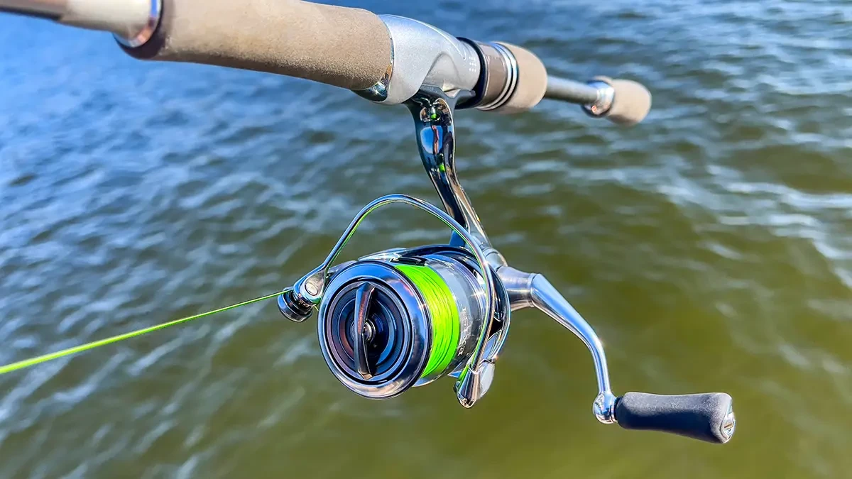 Affordable reel stella For Sale, Fishing