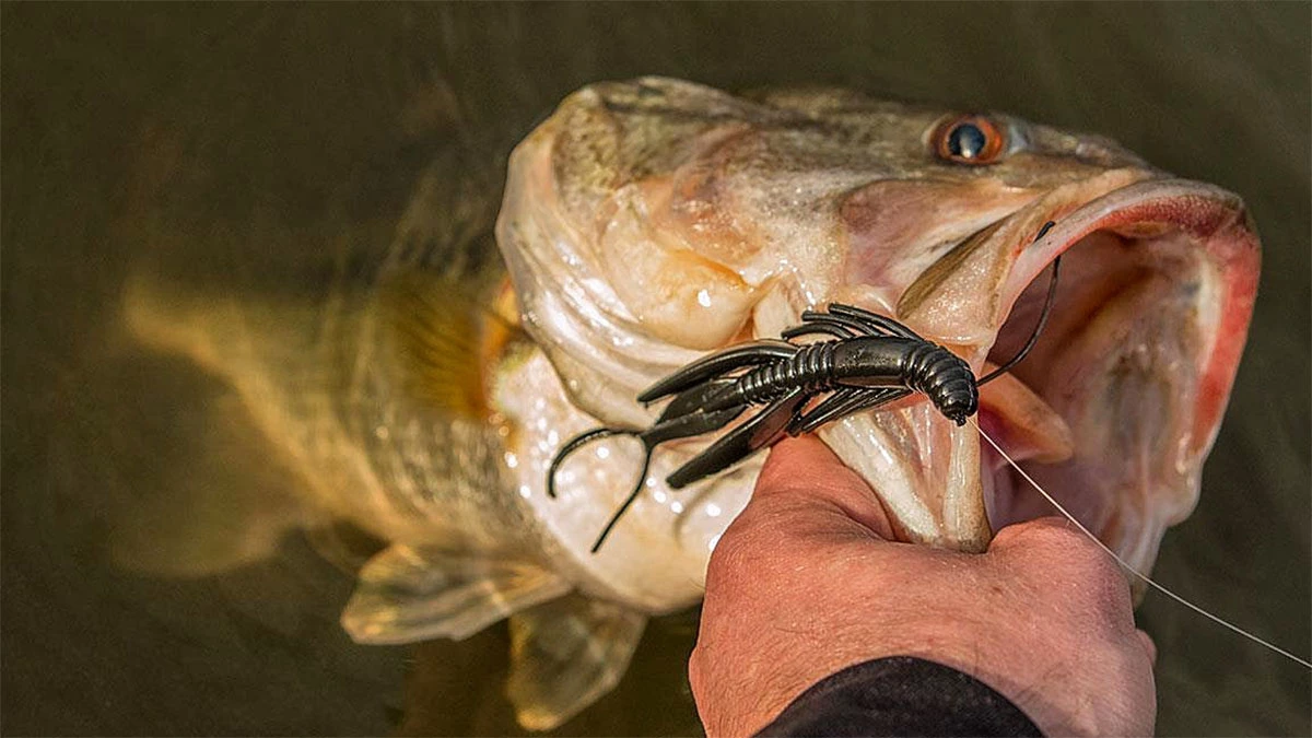 3 Prespawn Lessons to Remember This Year - Wired2Fish
