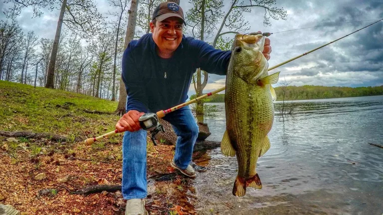 How to Find the Right Depth to Bass Fish, fishing 