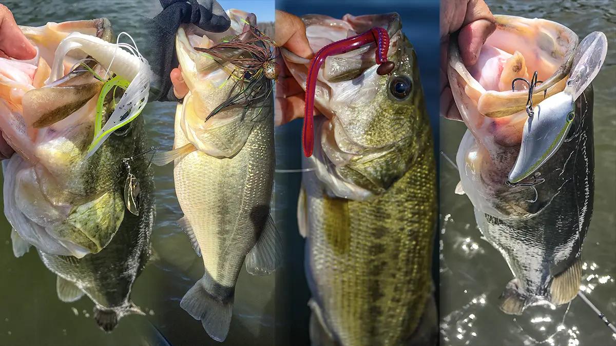 selecting the right bass lures