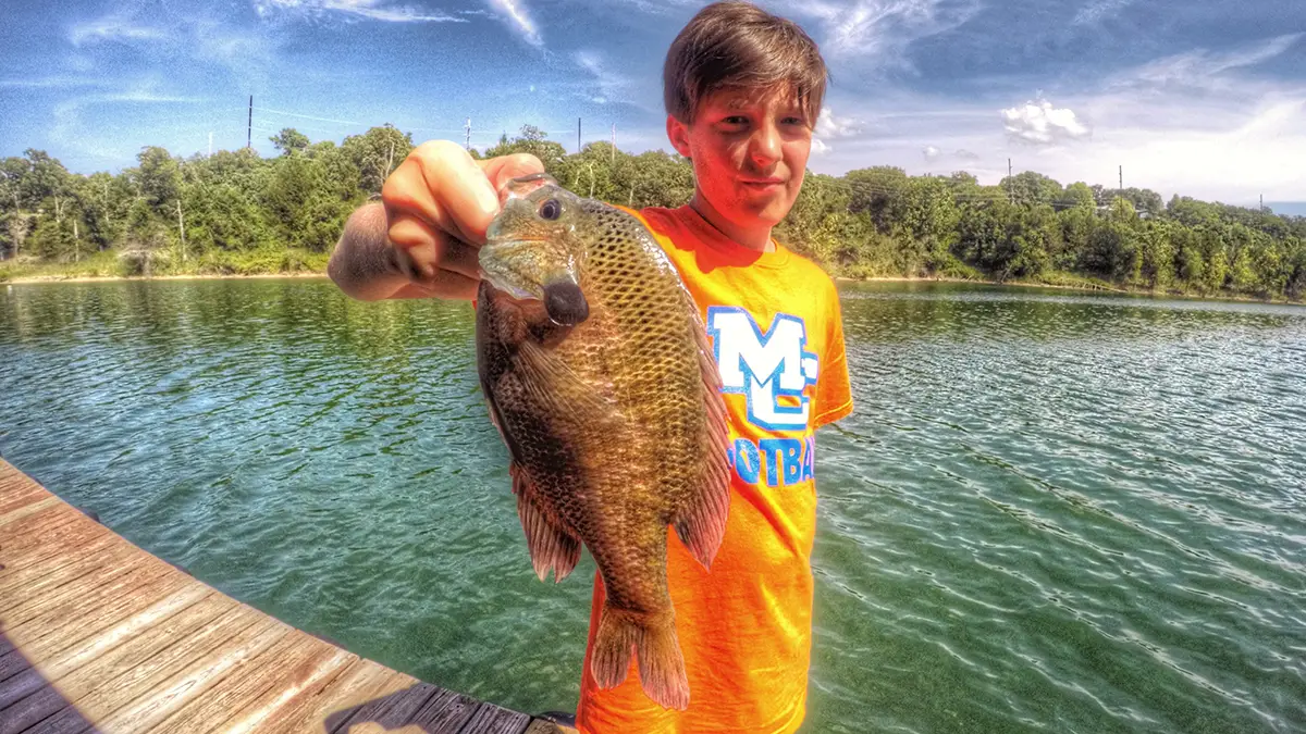 How to Catch Bluegill  A Simple Guide to Bluegill Fishing - Wired2Fish