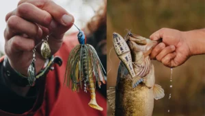 Catch Co Announces Two New Googan Lures for 2023