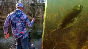 Bed Fishing for Bass 101 with Gerald Swindle