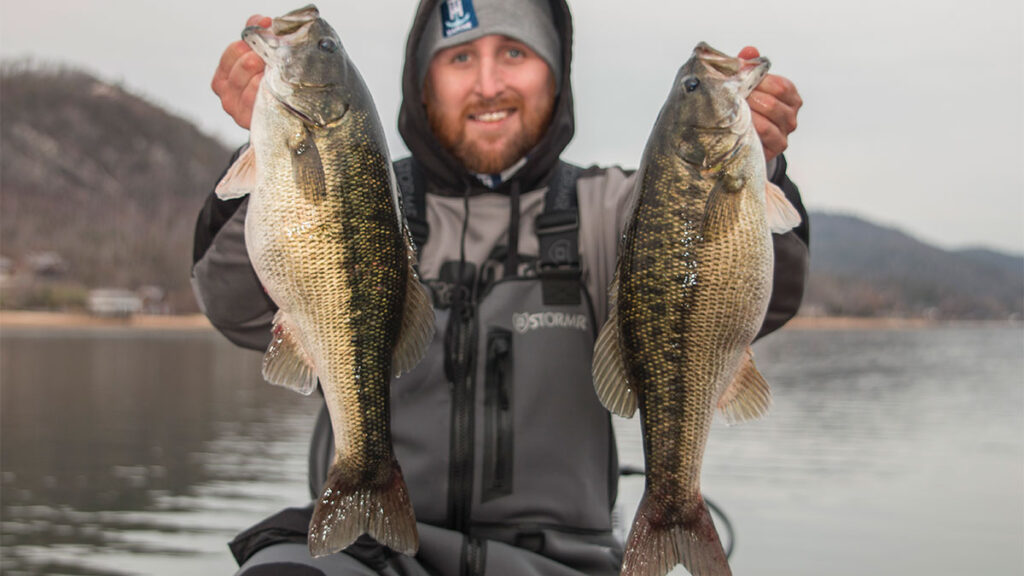 Spotted Bass A Comprehensive Species Guide Wired2Fish