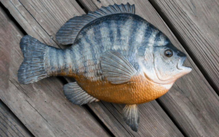 The Biggest Bluegill Ever Caught and Other World Record Panfish