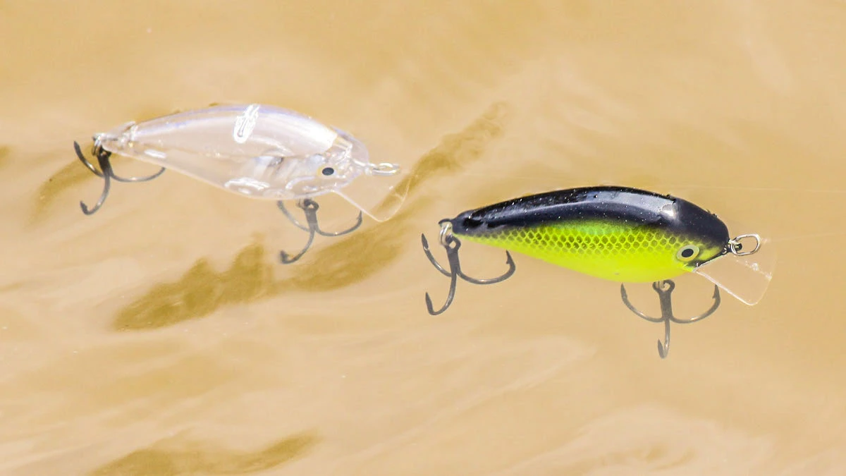 Does Crankbait Color Really Matter in Muddy Water? - Wired2Fish