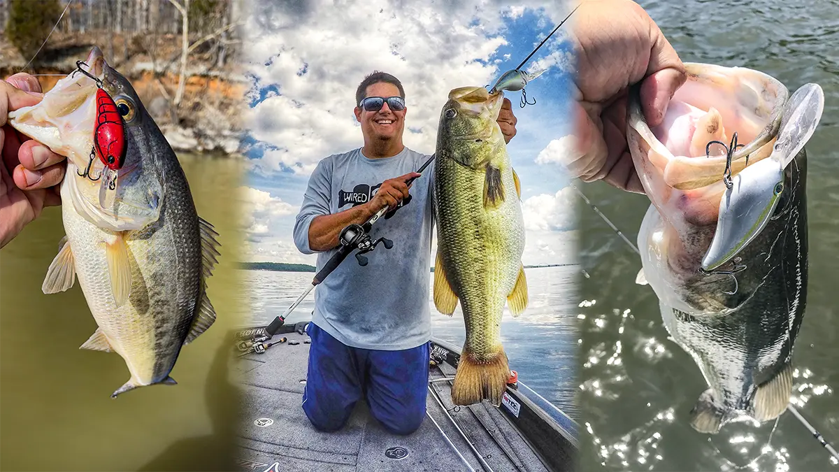 5 Ways to Catch More Summer Bass on Squarebill Crankbaits - Wired2Fish