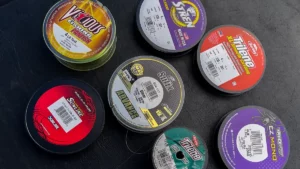 Best Monofilament Fishing Lines