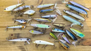 Best Topwater Lures for Bass for 2024