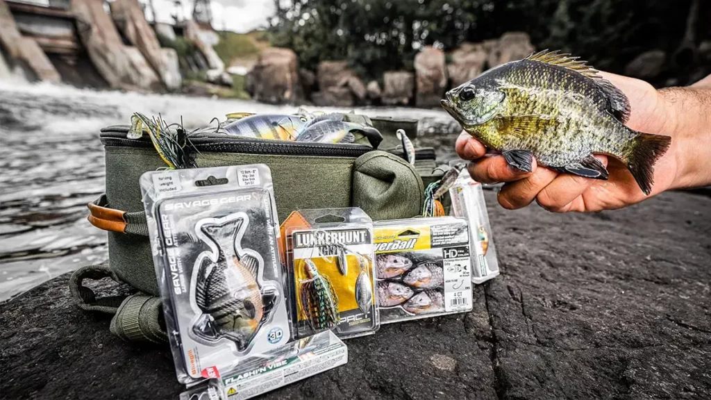 Comparing Bluegill Bass Baits and Live Bluegill Underwater - Wired2Fish