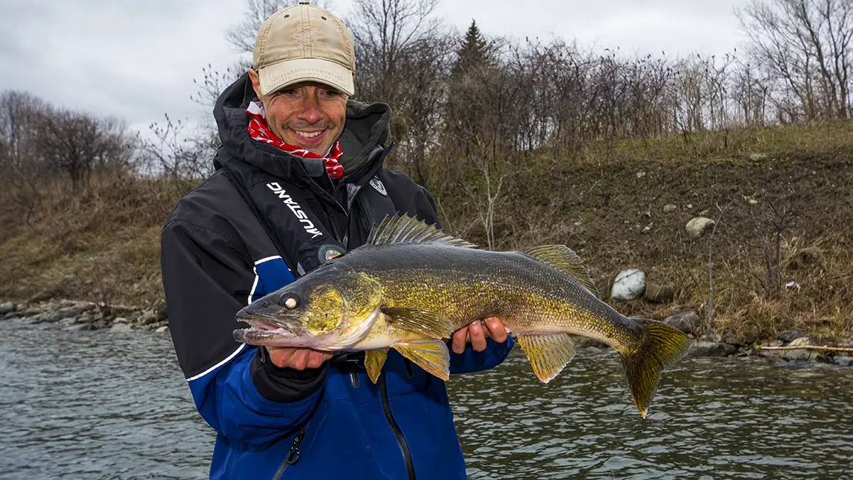 Walleye or bust; anglers troll with flow