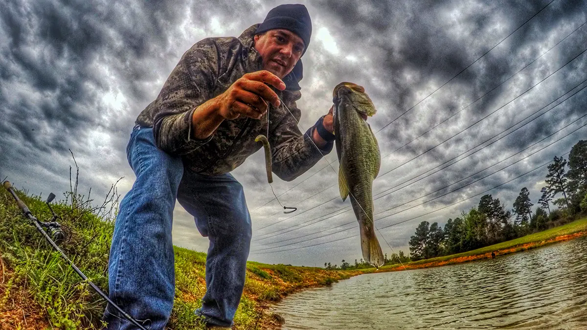 Wacky Rig Kit - Z-Man ZinkerZ 6pk + Wacky Weedless Hooks 10pk + Wacky Tool w/10 Wacky Rings + How to Fish The Wacky Worm Guide (Green Pumpkin)