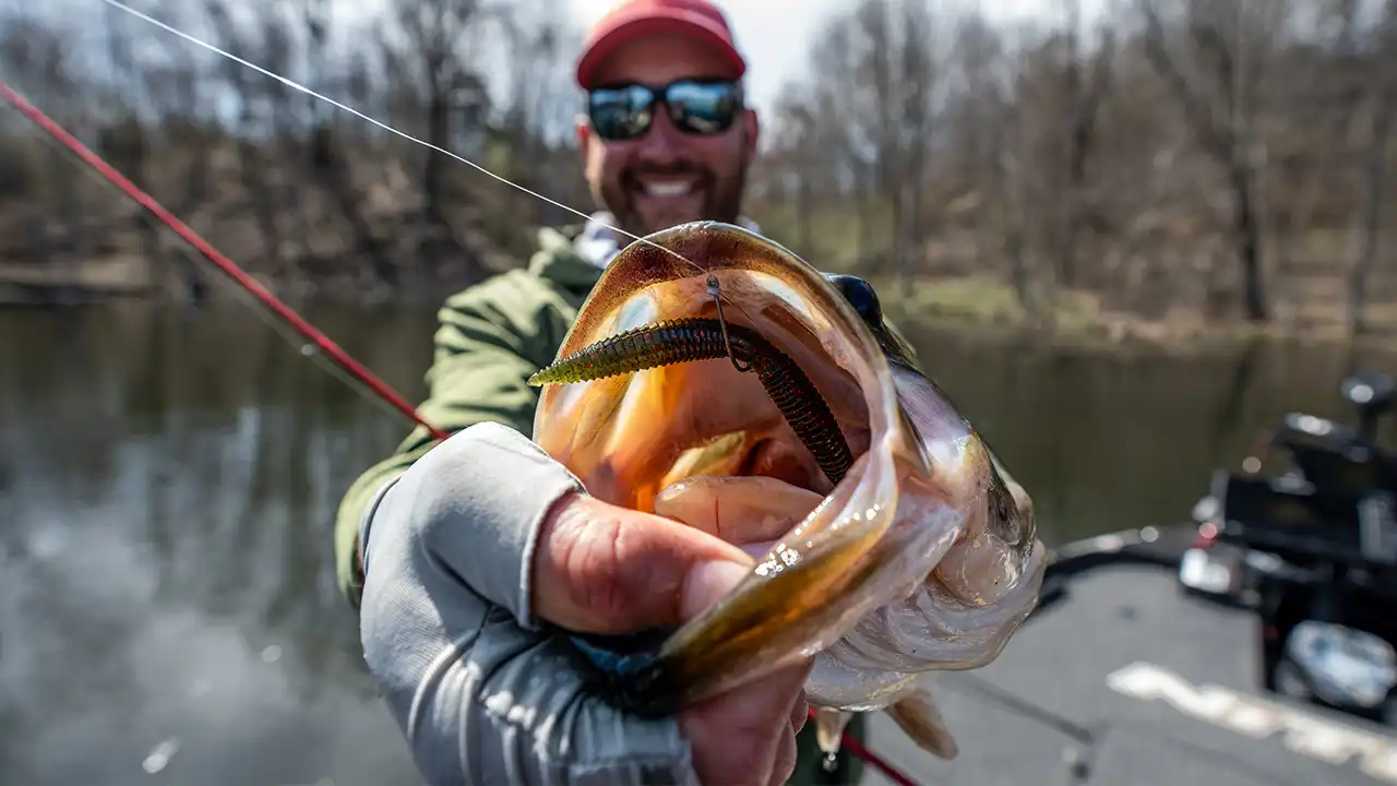 Weightless Soft Plastics for Springtime Bass - Wired2Fish