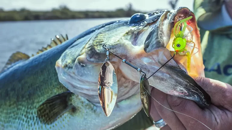 Spinnerbait Bass Fishing | A Lost Art Returns