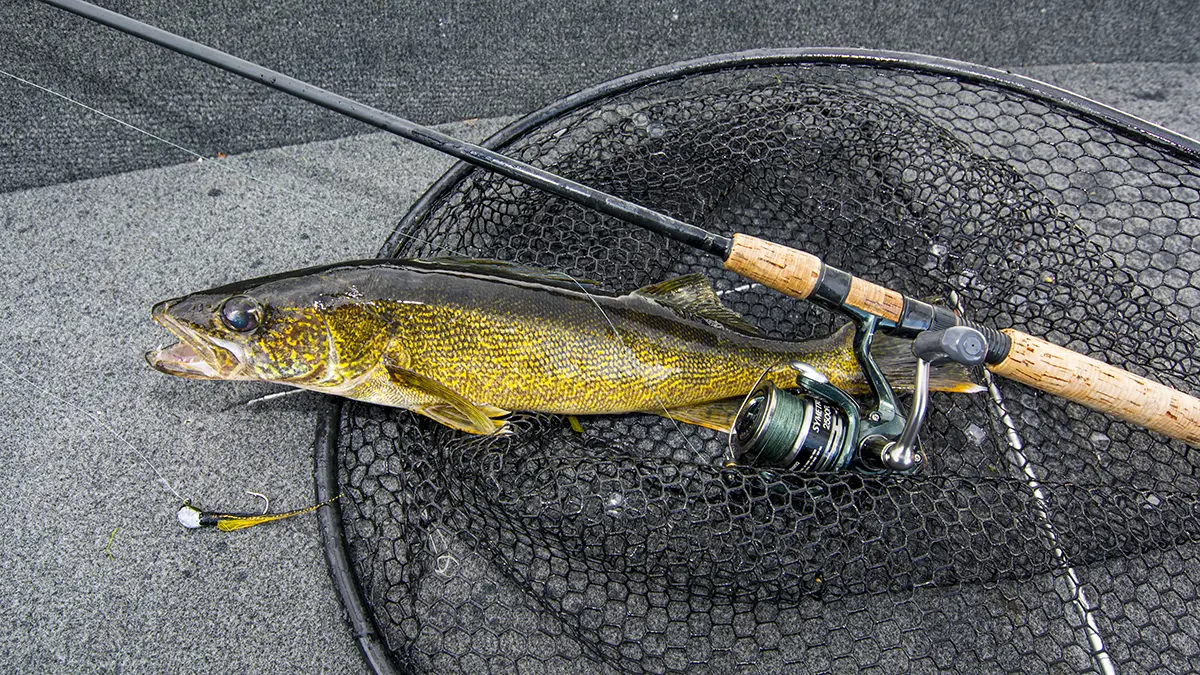 Winter walleye on the fly, An unconventional strategy for fishing  Pittsburgh's rivers