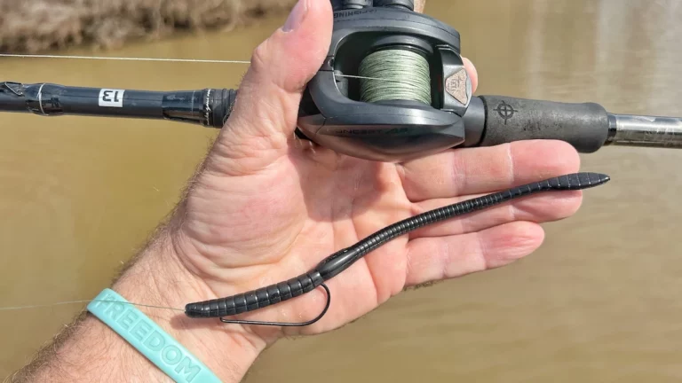 Floating Worms: How to Rig and Fish for Bass