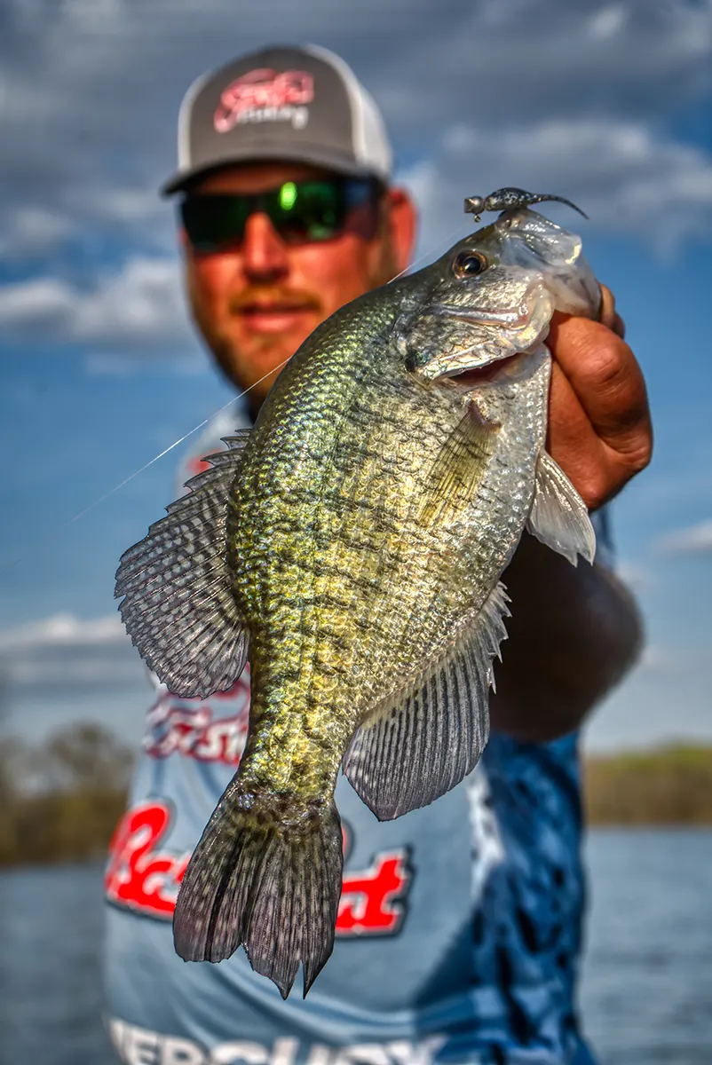 big crappie, natural baits and following the spring migration
