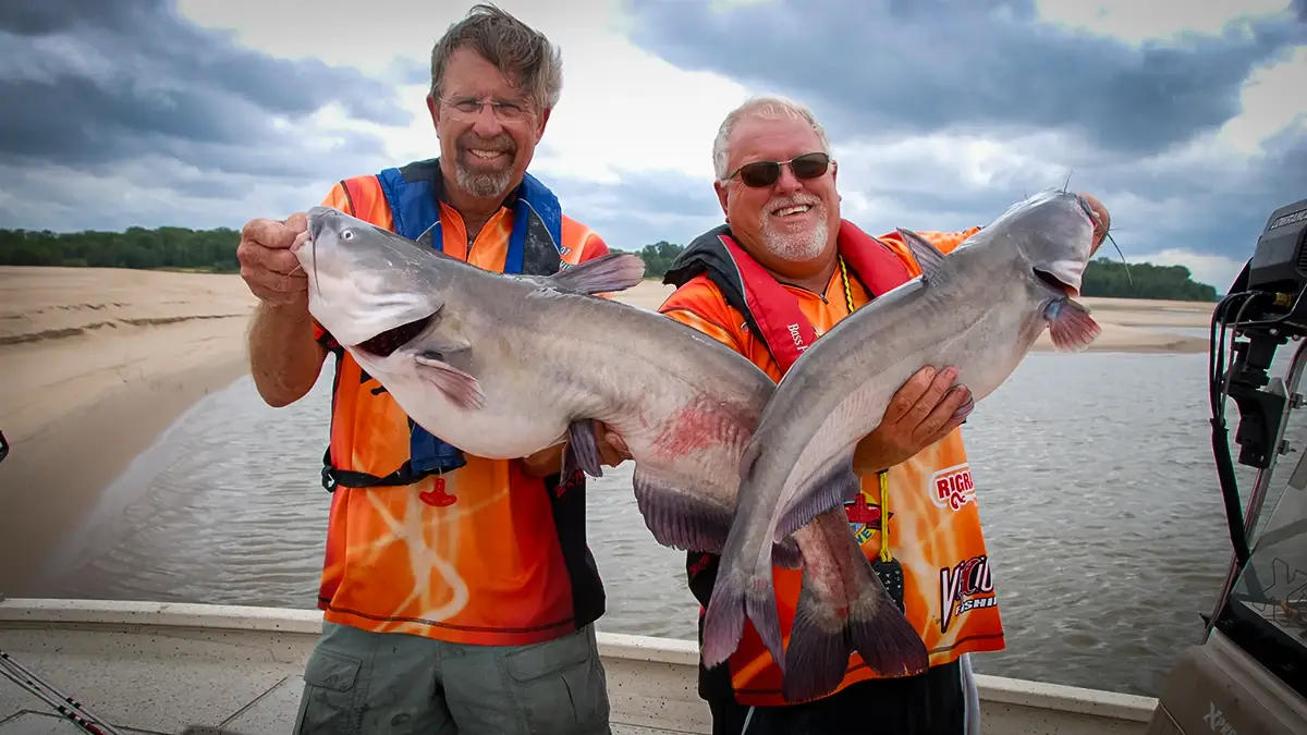 B'n'M Poles pros catching catfish on Mississippi River