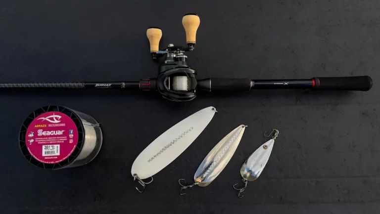 Best Bass Fishing Setups for Niche Techniques - Wired2Fish