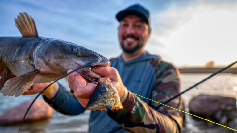 How To Catch Catfish | Best Tips For Getting Started - Wired2Fish