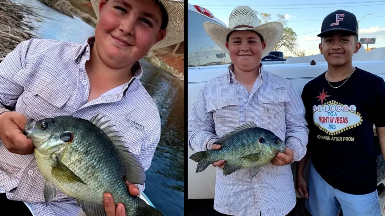 Teen Angler Catches Record Redear Sunfish