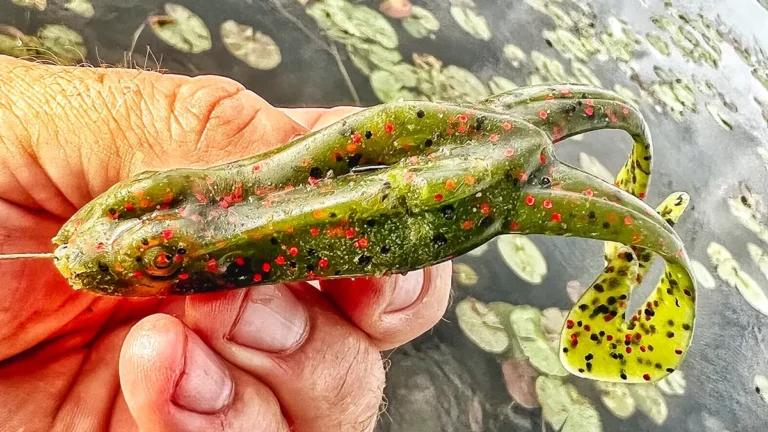 NetBait BaitFuel BF Toad