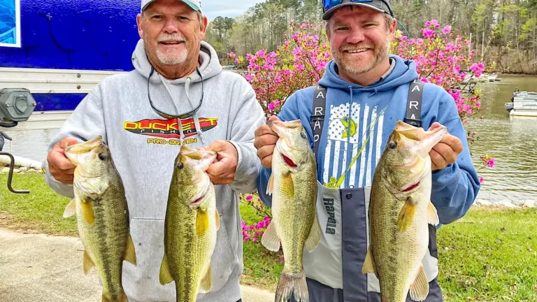 How to Target Big Bass Specifically