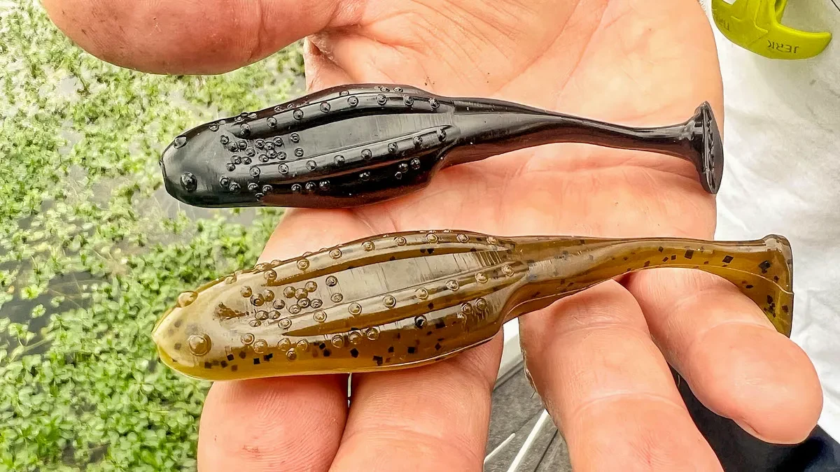 Zoom Uni Toad Swimbait Review - Wired2Fish