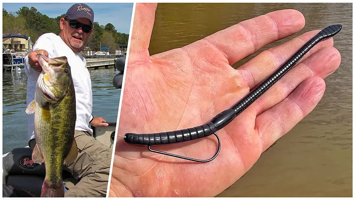 How to Hook a Bass Worm  