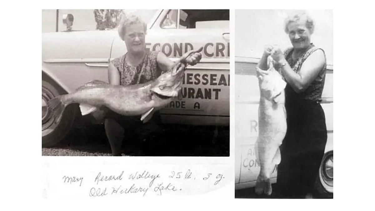 harpers wife world record walleye photos
