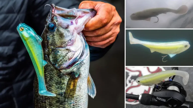 How to Rig and Fish Line Through Swimbaits - Wired2Fish