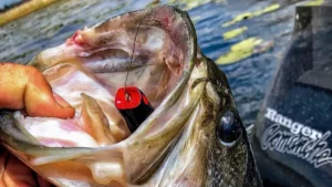 7 Best Frog Tweaks for Better Bass Fishing