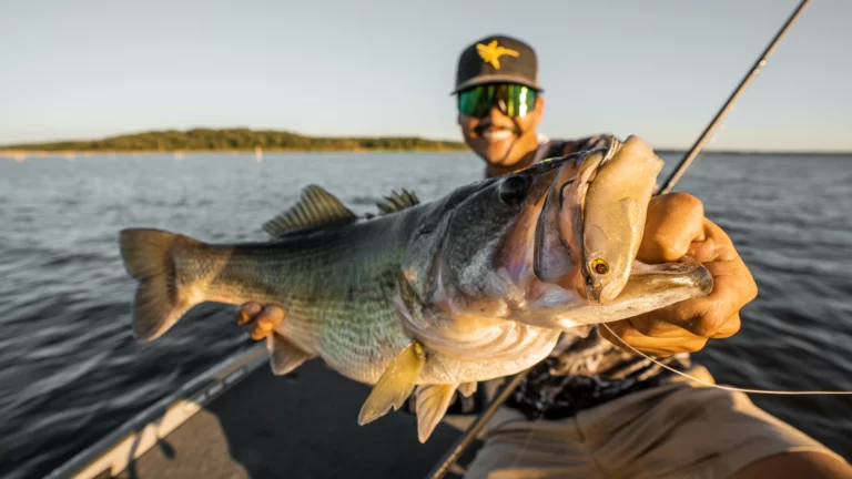 Big Swimbaits for Offshore Bass | Zaldain Masterclass