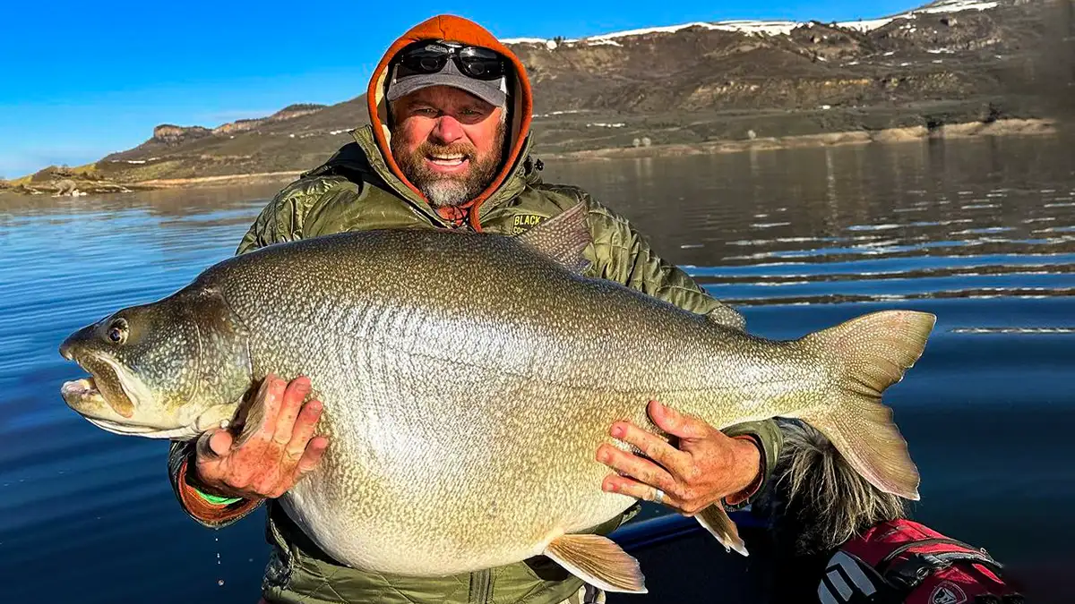 Scott Enloe world record class lake trout from colorado