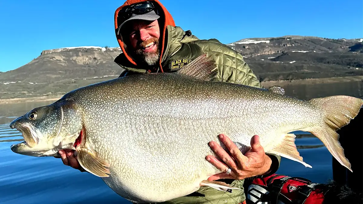 scott enloe lake trout blue mesa world record