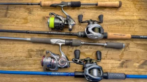 Baitcaster vs Spinning Reel | Which is Best