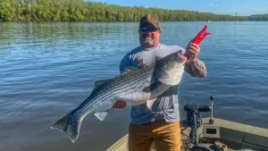 How to Catch Striped Bass in the Spring