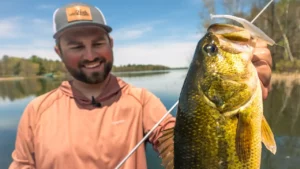 Sight Fishing Bass with Weightless Flukes