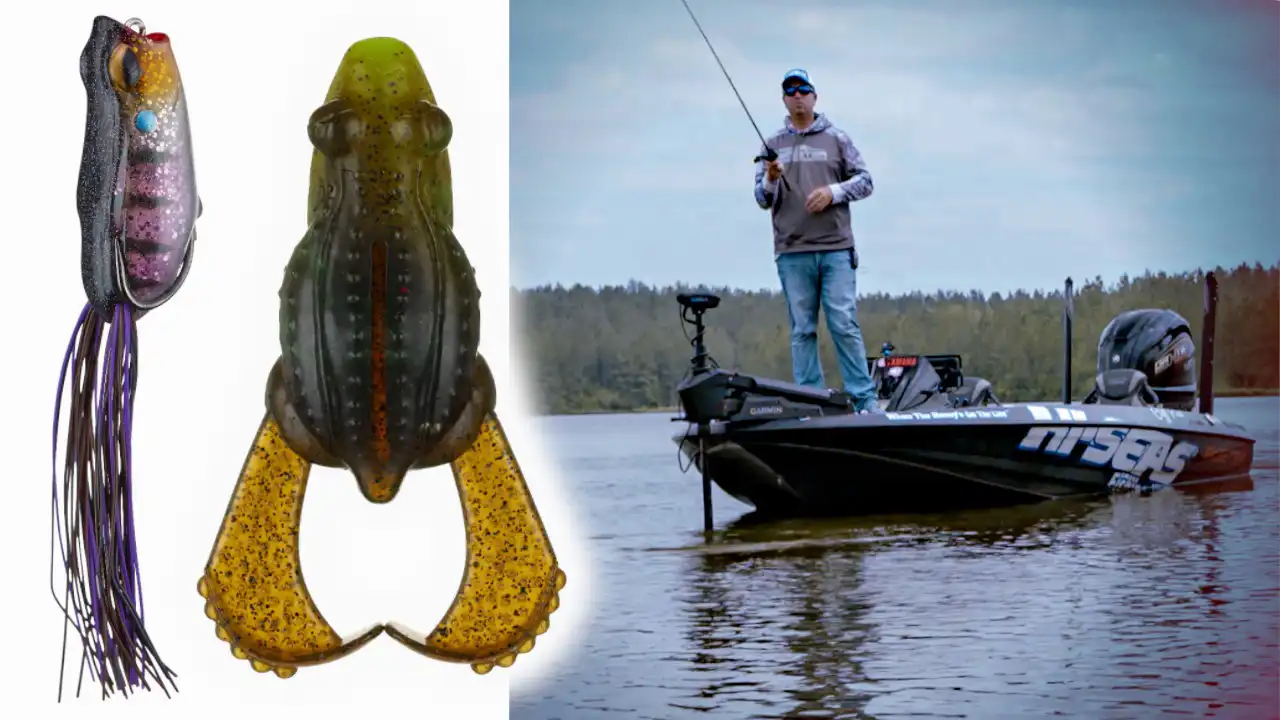 Buzz Versus Hollow-Body Frogs  When and How to Fish - Wired2Fish