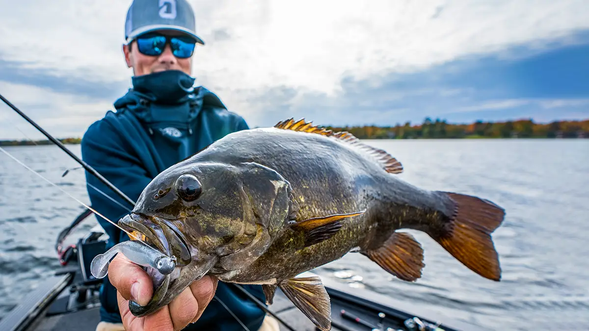 What Lures We're Fishing in May 2023 - Wired2Fish