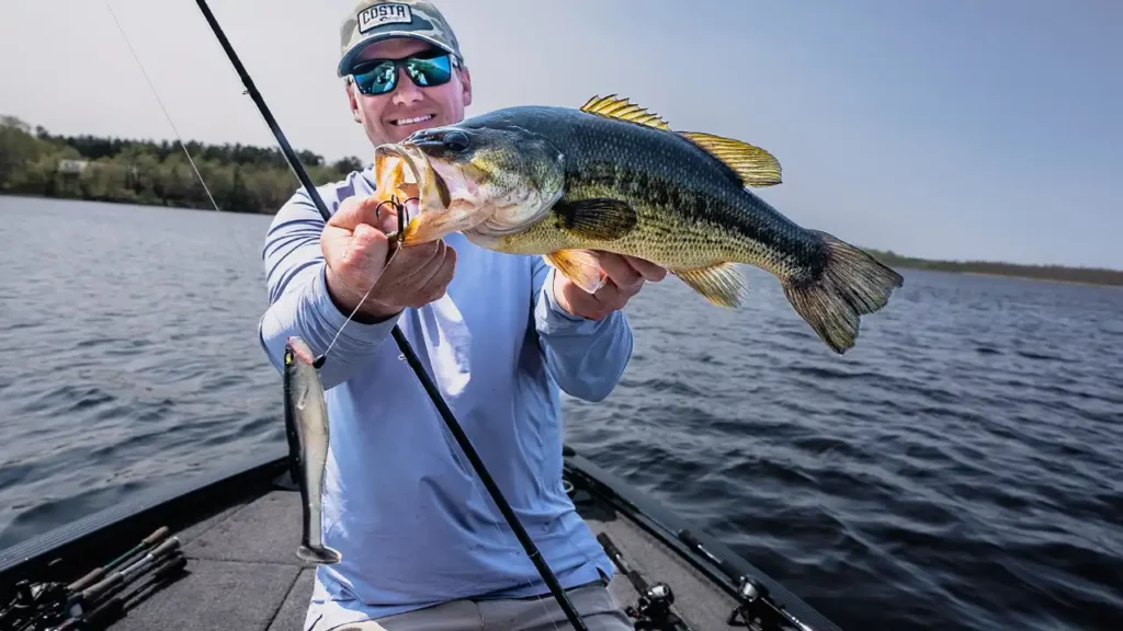 Line Through Swimbait Custom Rigging for Best Action - Wired2Fish