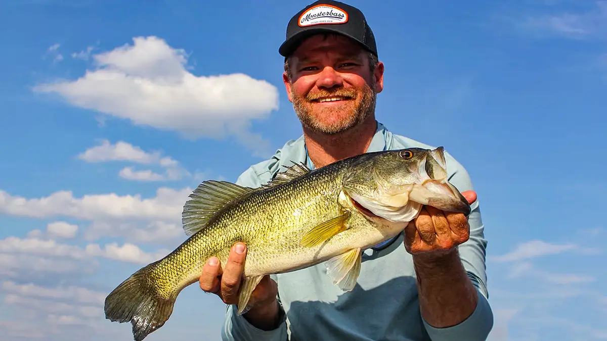 staying shallow for summer bass pays off with less pressure