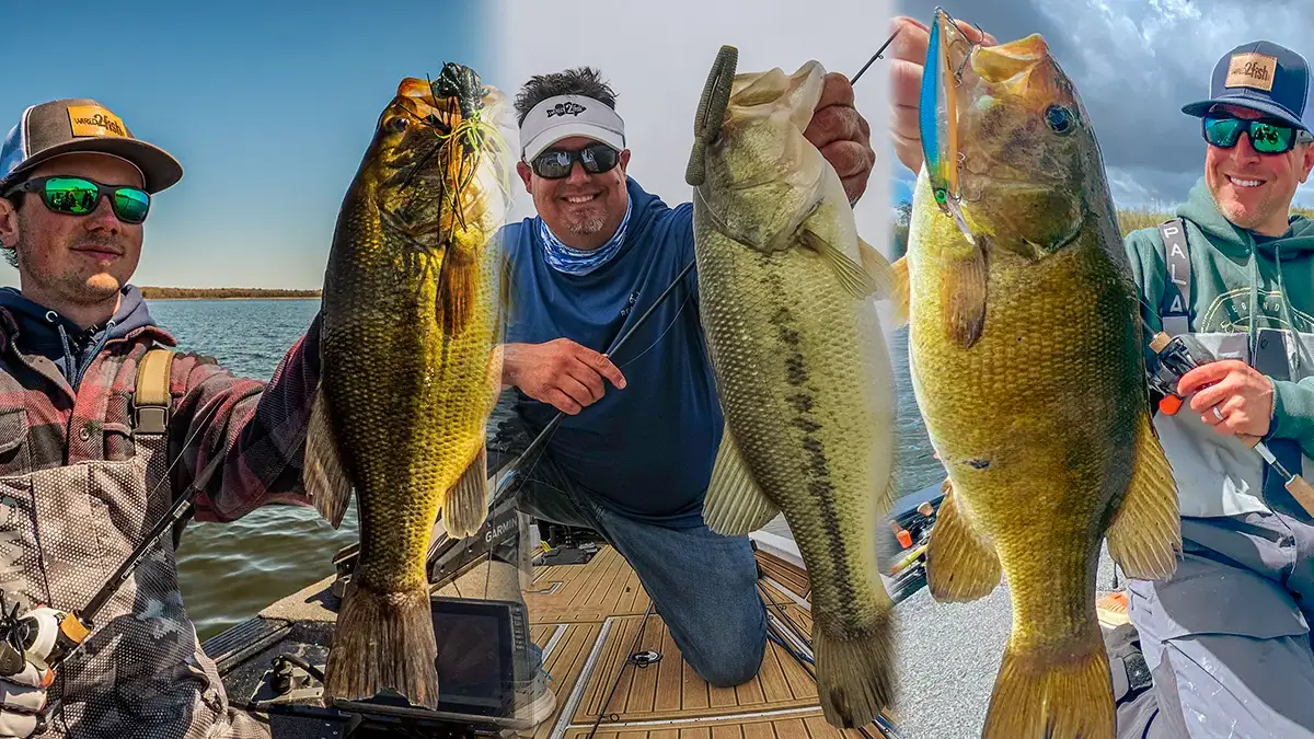 wired2fish best fishing lures for may 2023 and where to fish them
